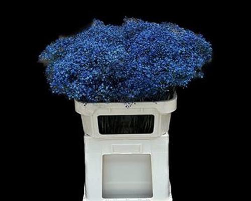 <h4>Gyps Klb Fine Blue</h4>