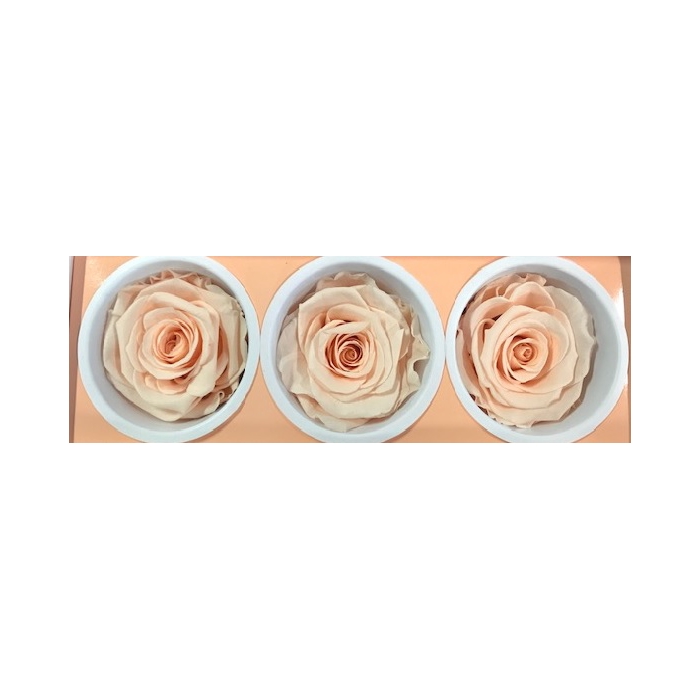 <h4>Rose Monalisa Almond Cream</h4>