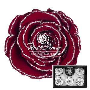 Xl Glitter Silver Red01