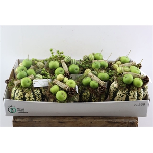 Sier Cuc P Opgemaakt Wit Groen X8