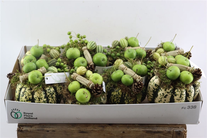 <h4>Sier Cuc P Opgemaakt Wit Groen X8</h4>