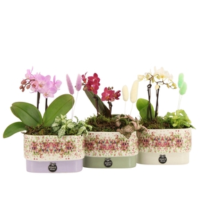 11625: Consideration arrangement