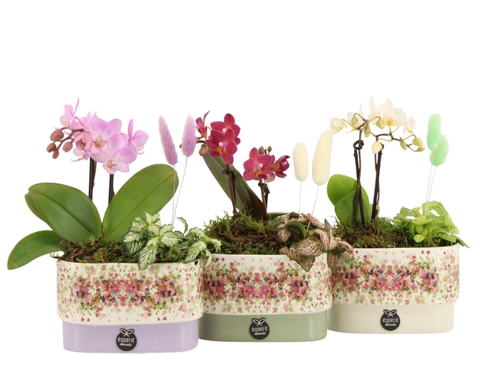 <h4>11625: Consideration arrangement</h4>