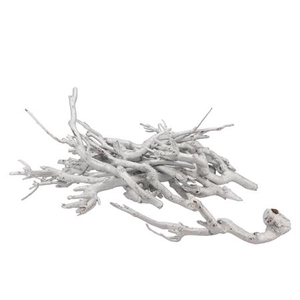 NATURE CURRY BUSH WHITE P/500 GRAM