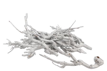 <h4>NATURE CURRY BUSH WHITE P/500 GRAM</h4>