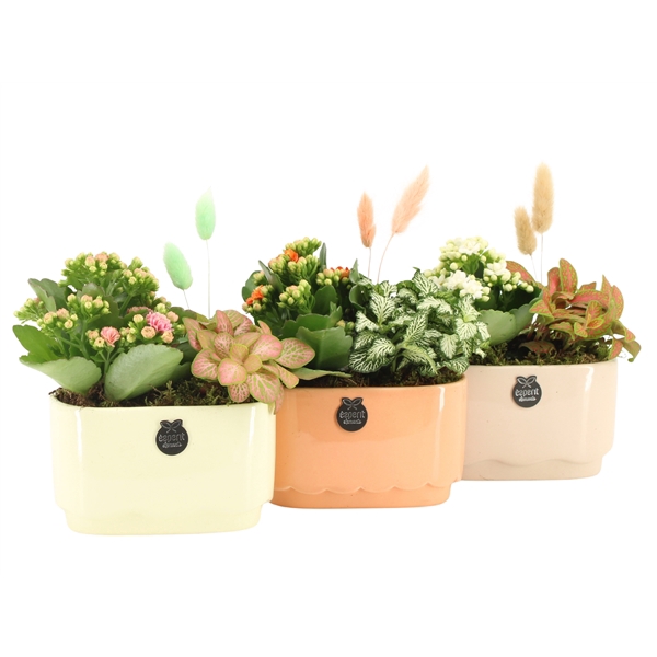 <h4>11511: Soft sculpture arrangement</h4>