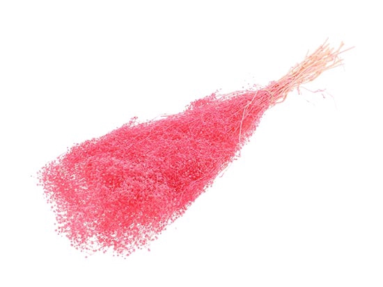 Bunch Gypsophila Pres. 100g L40/50