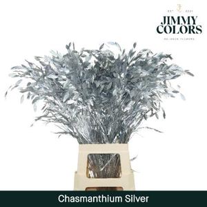 Chasmanthium L70 Metallic Silver