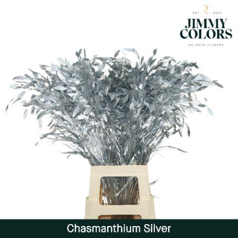 <h4>Chasmanthium L70 Metallic Silver</h4>