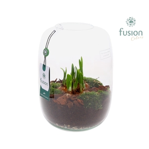 Green Bottle Isabella Large met Narcissen