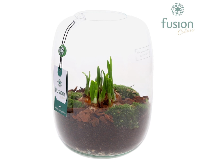 <h4>Green Bottle Isabella Large met Narcissen</h4>