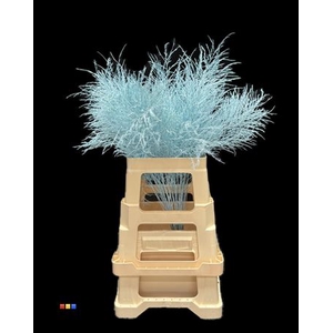 Treefern Light Blue
