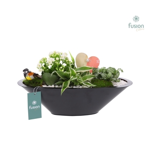 Schaal zink antraciet met Arrangement Love