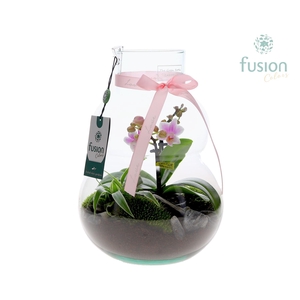 Green Bottle Olaf Medium met Moederdag arrangement