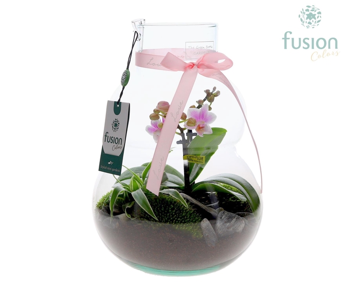 <h4>Green Bottle Olaf Medium met Moederdag arrangement</h4>