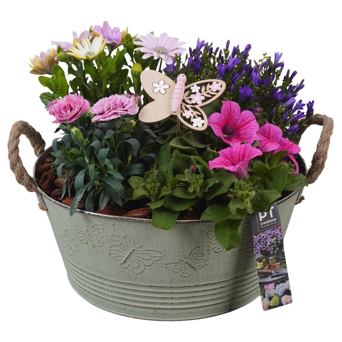 <h4>PTPP6826 Arrangement Patio in metalen bak</h4>