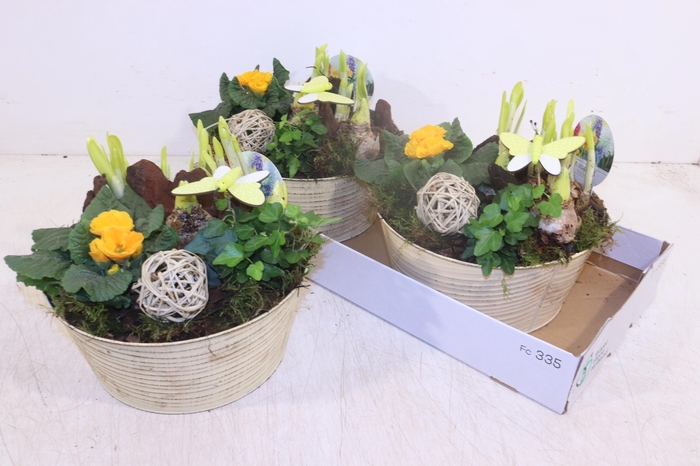 <h4>ARR TUINPLANTEN</h4>