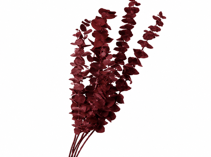 <h4>Dried Bleached Eucalyptus Baby Blue Dark Red</h4>
