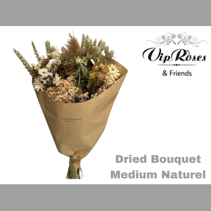 DRIED BOUQUET MEDIUM NATUREL x10