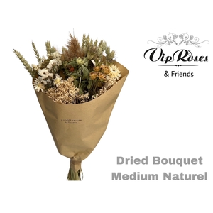 DRIED BOUQUET MEDIUM NATUREL x10