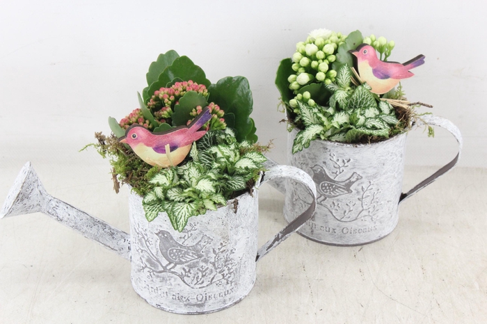 <h4>arr2 TD - Zink gieter - roze/wit</h4>