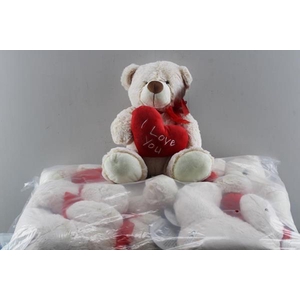 Valentijn Beer H% X6