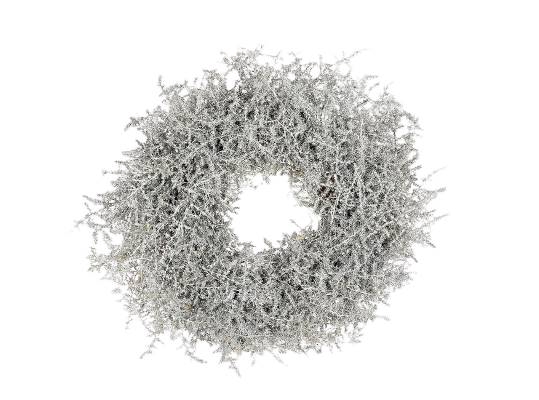 Wreath Asparagus Wax D40