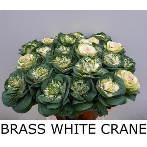 BRASS WHITE CRANE