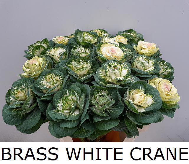 <h4>BRASS WHITE CRANE</h4>