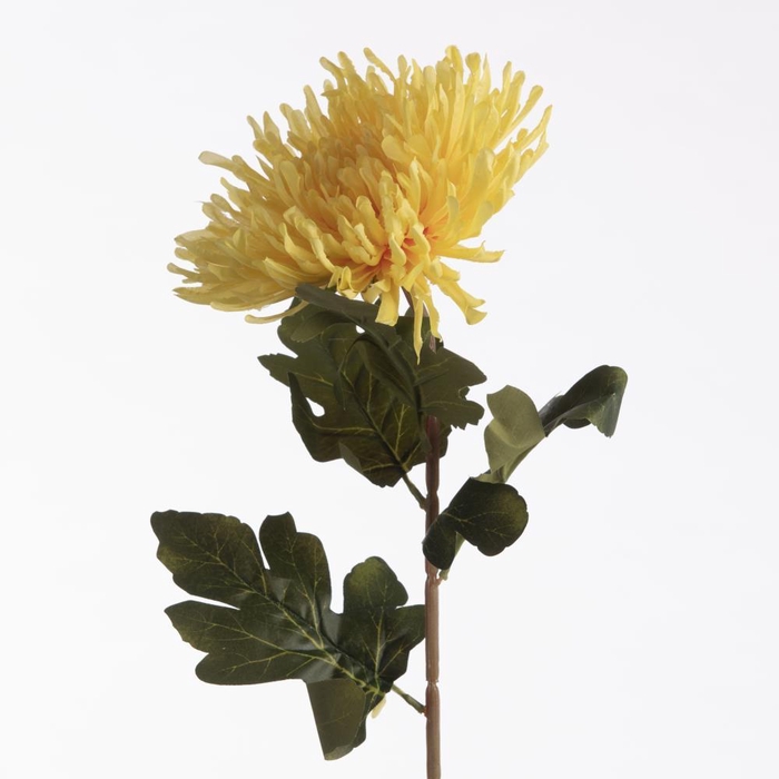 <h4>AF Chrys Spider L73cm Yellow</h4>