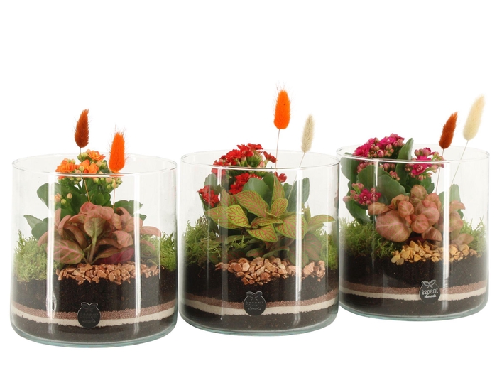 <h4>41587: Treasure time arrangement</h4>