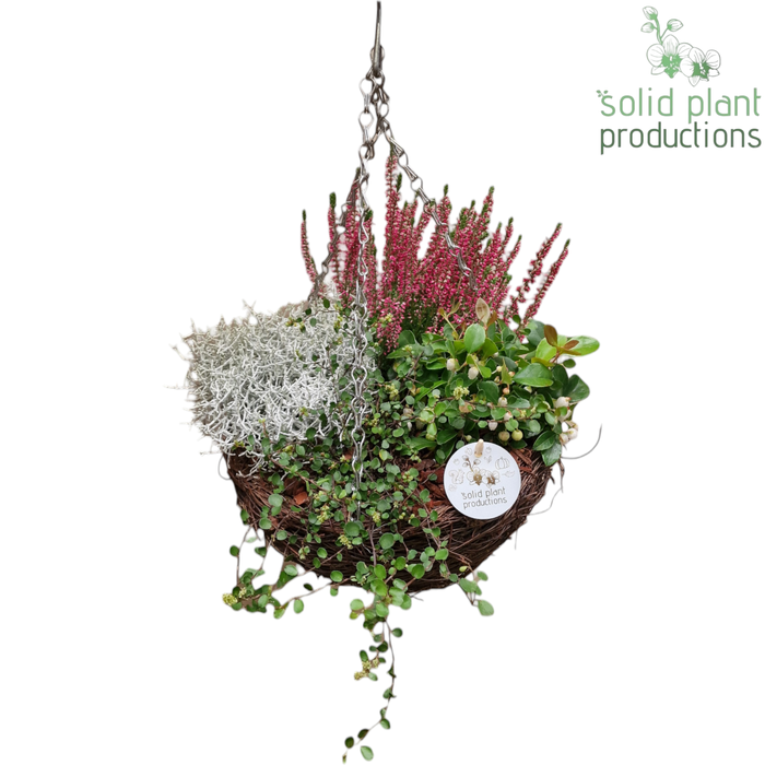 <h4>SHM001 Salim Hanging Basket Medium</h4>