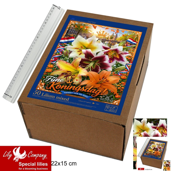 <h4>BLOEMBOL OV</h4>