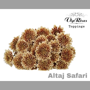 CHR T ALTAJ SAFARI