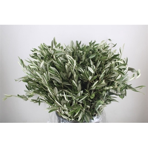 Olijf 400gr P Bunch