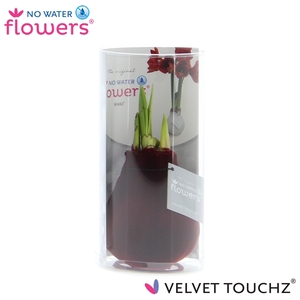 No Water Flowers Velvet Touchz® Bordeaux in koker