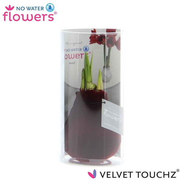 <h4>No Water Flowers Velvet Touchz® Bordeaux in koker</h4>