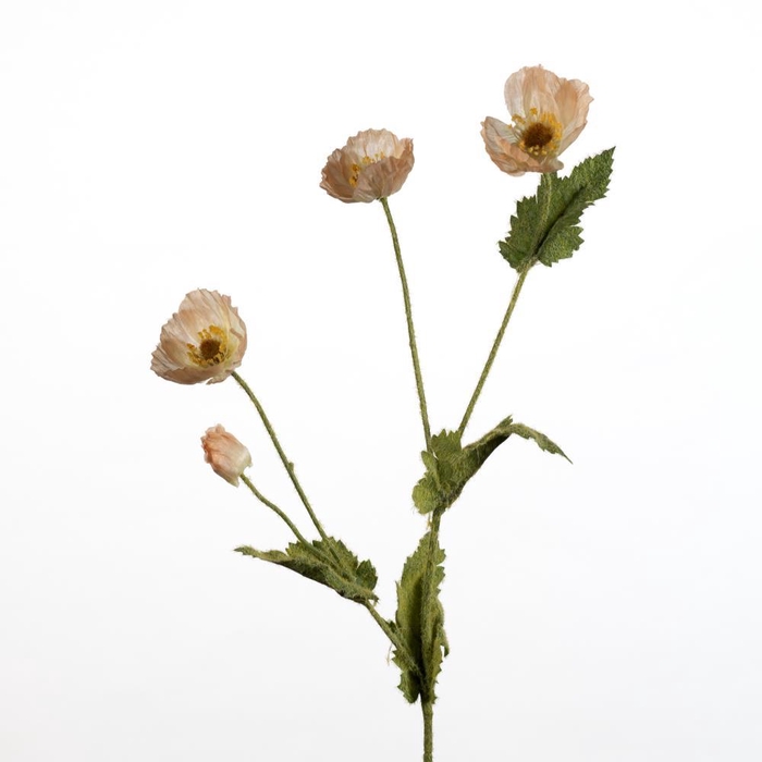 <h4>AF Papaver spr/4 fl L60cm p</h4>