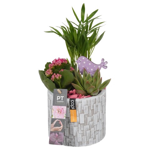 PTIB7528 Arrangementen kamerplanten