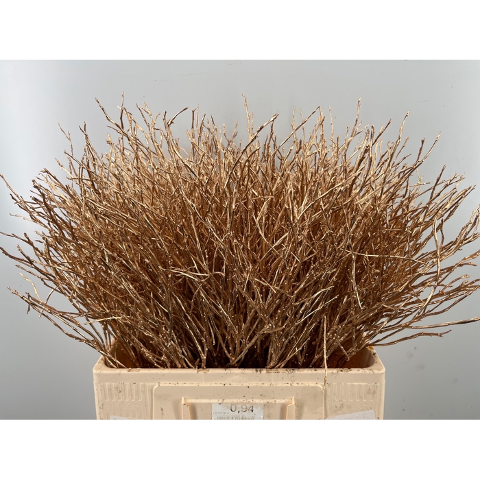 <h4>Vacc Klb H%</h4>