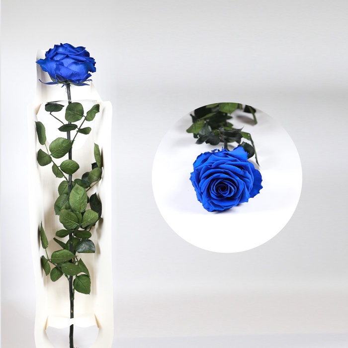 <h4>Roos op steel xl blauw bulk</h4>