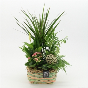 ESCR-2535RZ Essentials