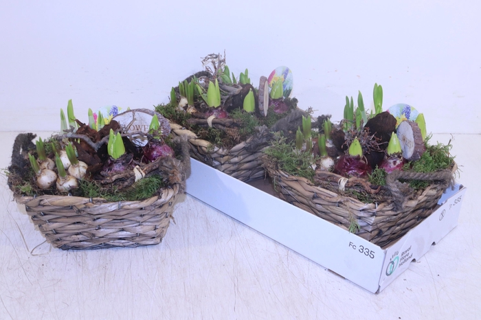 <h4>ARR BOL KNOLGEWAS</h4>