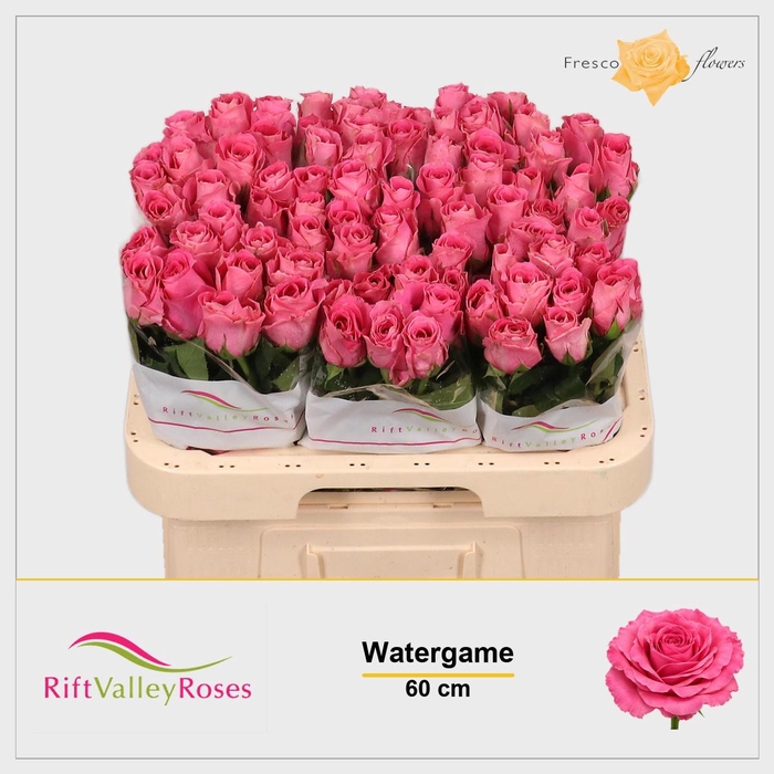 <h4>R GR WATERGAME</h4>