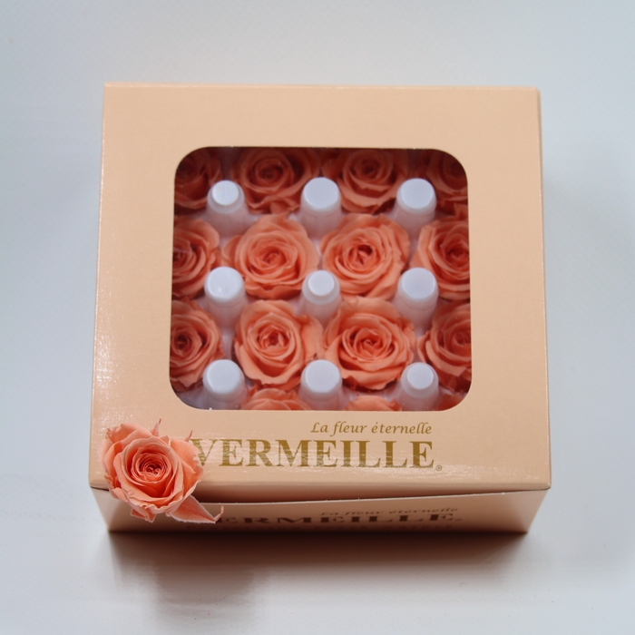 Rose Ava Pink Nectar