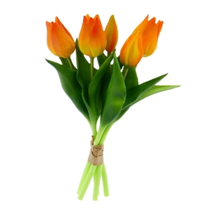 AF Tulip Pointer Bund x5 L25cm