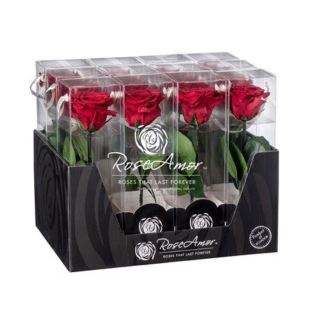 <h4>Display 20cm Stem Red01</h4>