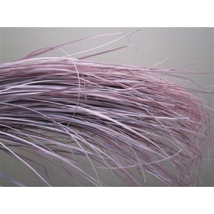 Beregras Licht Rose