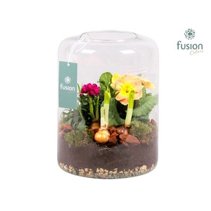 Green Bottle Isabella Large Voorjaar met Arrangement