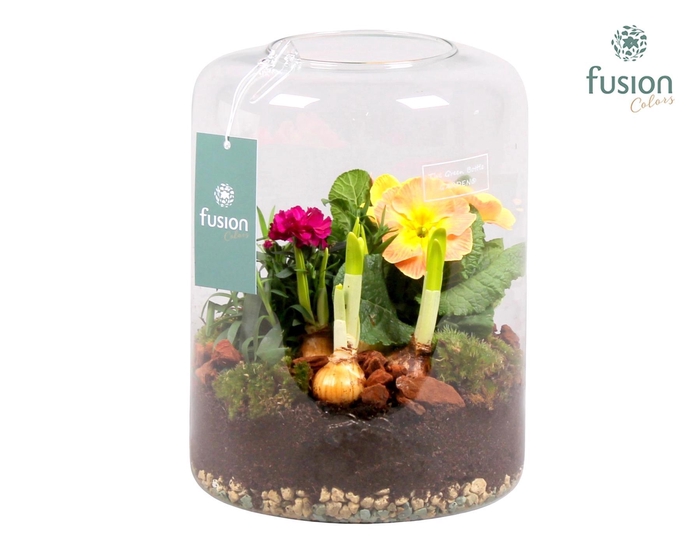 <h4>Green Bottle Isabella Large Voorjaar met Arrangement</h4>